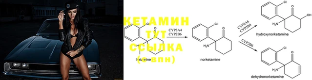 молекула духа Бородино