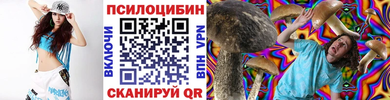 Купить где  Маркс  Галлюциногенные грибы MAGIC MUSHROOMS 
